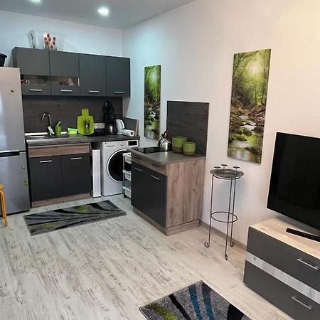 Apartament Acasa Sf.Gheorghe Sfântu-Gheorghe Dış mekan fotoğraf