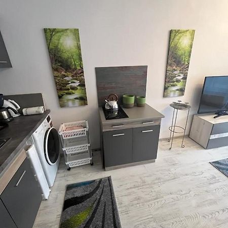 Apartament Acasa Sf.Gheorghe Sfântu-Gheorghe Dış mekan fotoğraf