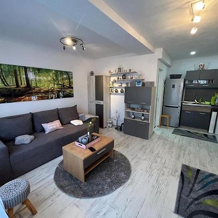 Apartament Acasa Sf.Gheorghe Sfântu-Gheorghe Dış mekan fotoğraf