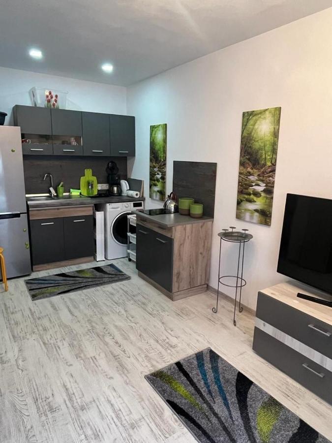 Apartament Acasa Sf.Gheorghe Sfântu-Gheorghe Dış mekan fotoğraf