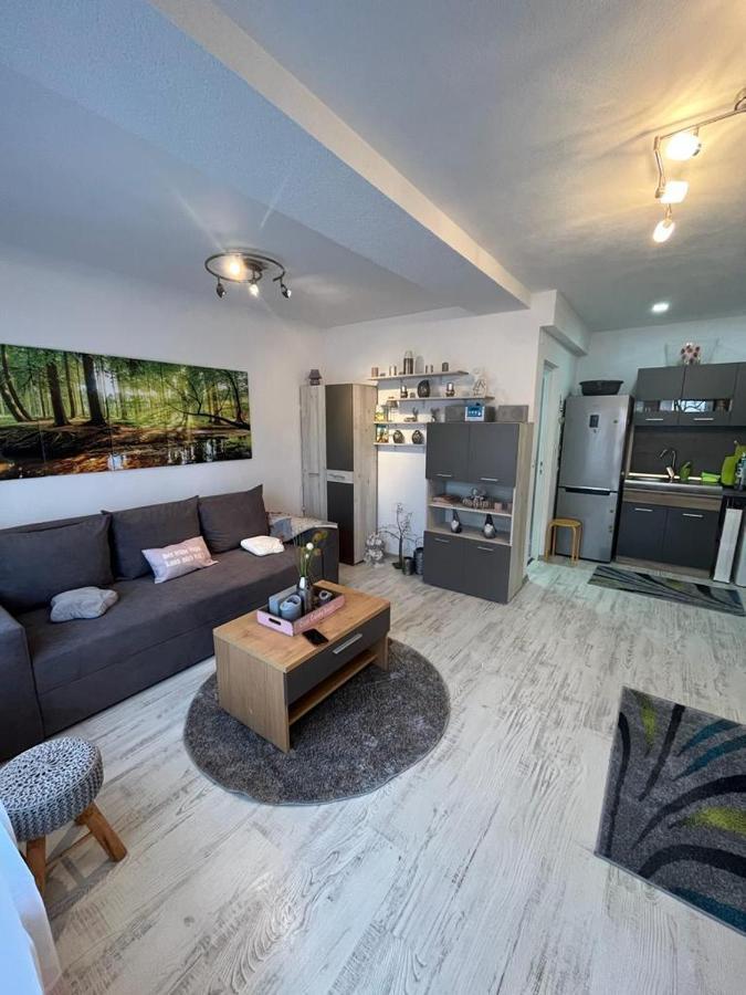 Apartament Acasa Sf.Gheorghe Sfântu-Gheorghe Dış mekan fotoğraf